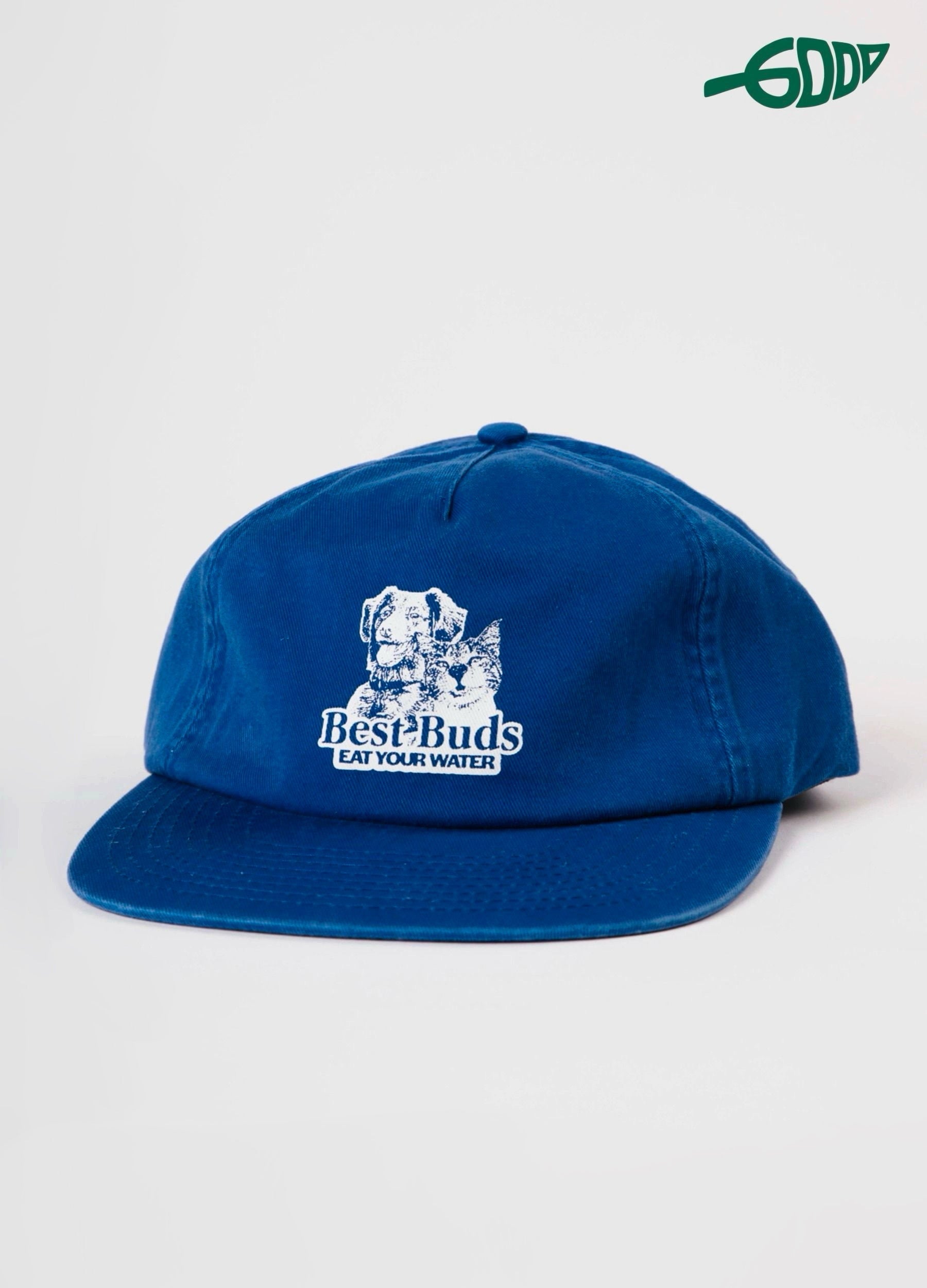 Best Buds 5 Panel