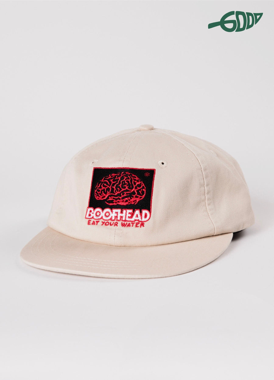 Boofhead 6 Panel