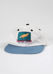 Locals Only 6 Panel