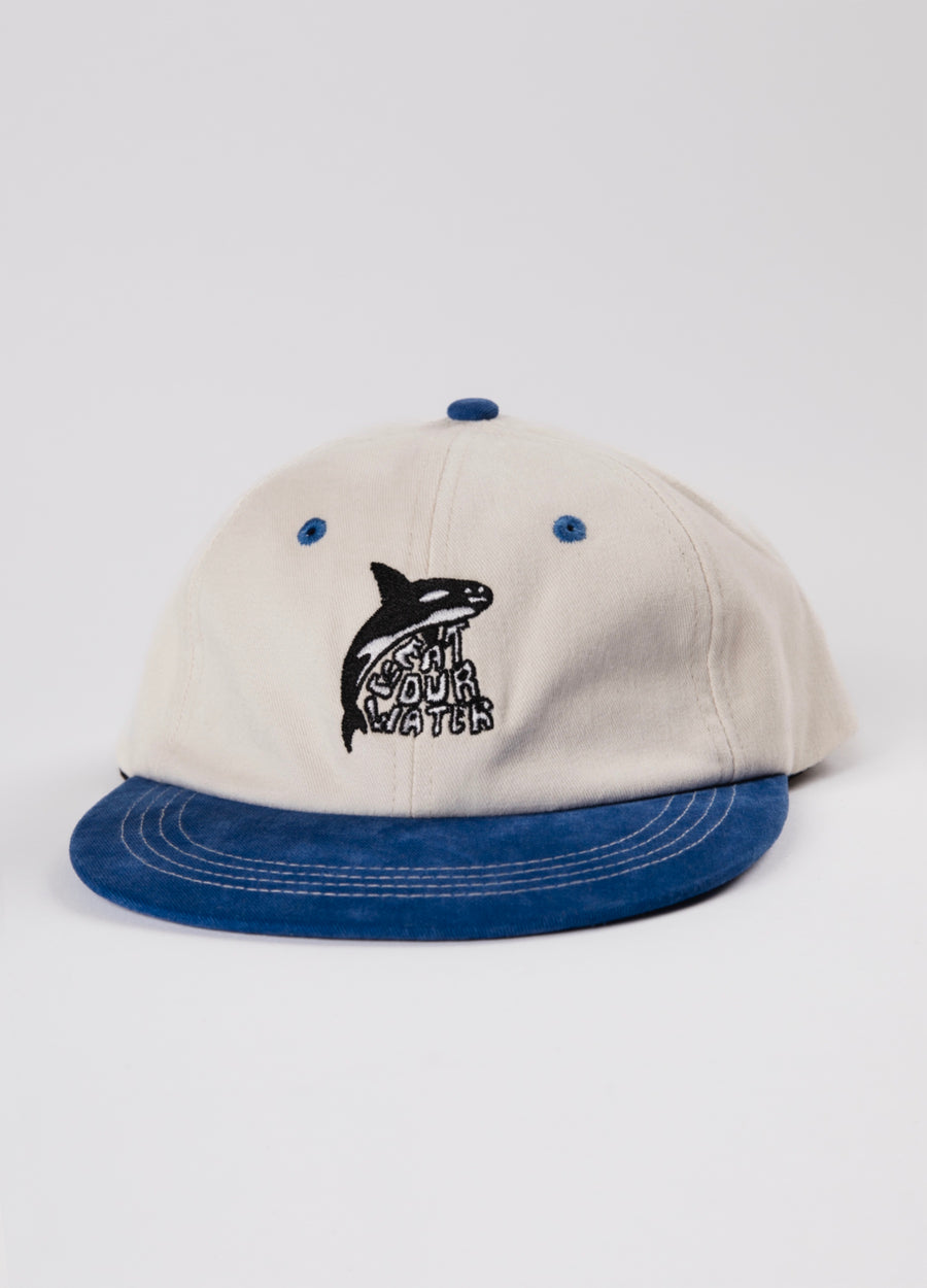 Orca 6 Panel