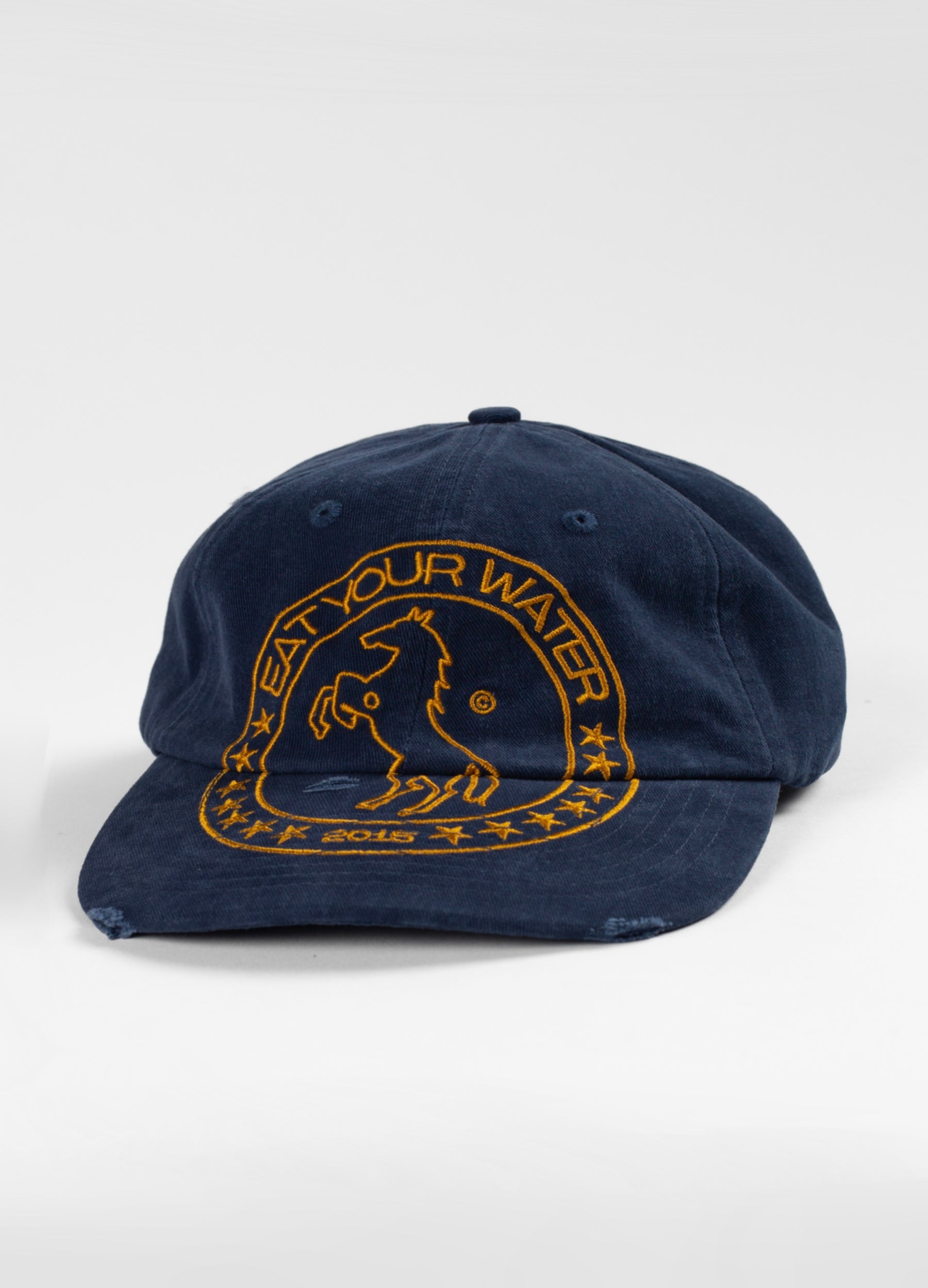 Navy blue cap with gold logo and text on a white background