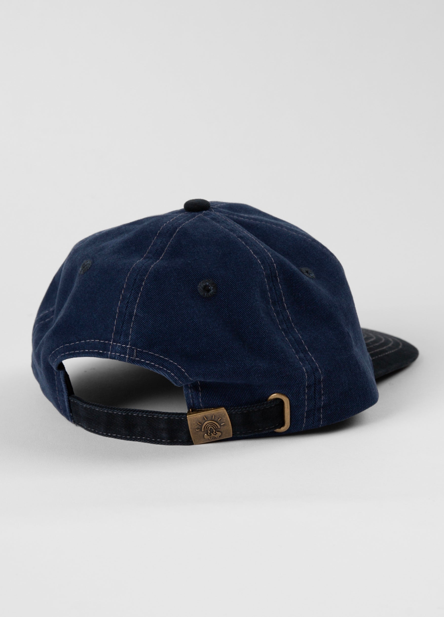 Mistletoebird 6 Panel