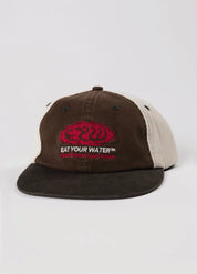 Cyclone 6 Panel